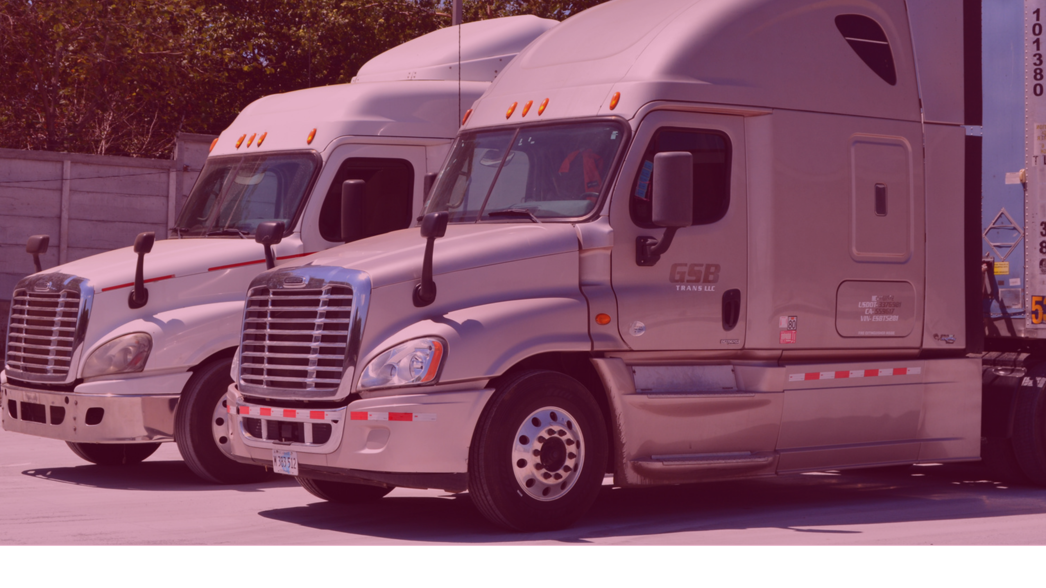 TRANSPORTE DE CARGA